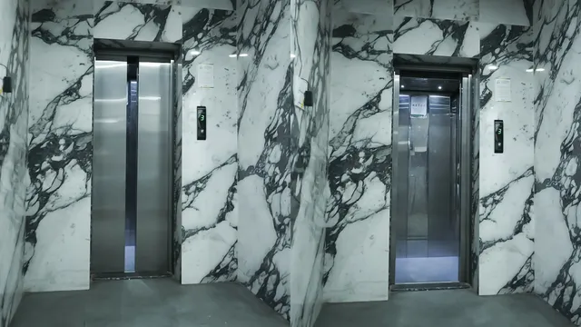 Hotel White Pearl 2.0 Vijay Nagar, Indore — photo 3